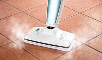 PAEU0219 serpillieres sols