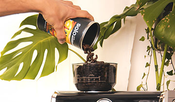 Qu'est-ce qu'un café d'origine unique ?