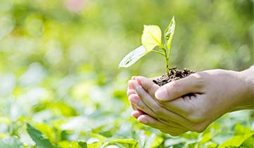 Arrêt automatique pour économiser l'énergie