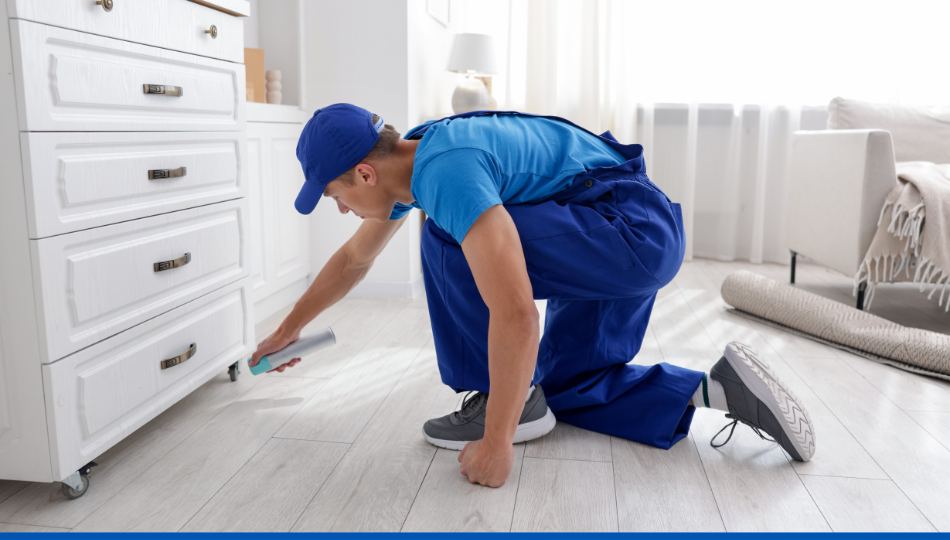 Guide désinfestation traitement vapeur contre punaises de lit