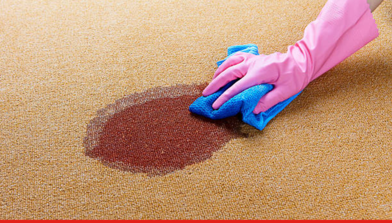 Nettoyage humide de tapis : Conseils pratiques pour un résultat impeccable