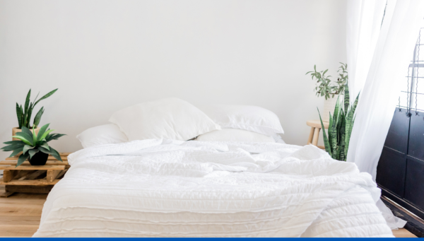 Quelles méthodes efficaces pour combattre les punaises de lit ?