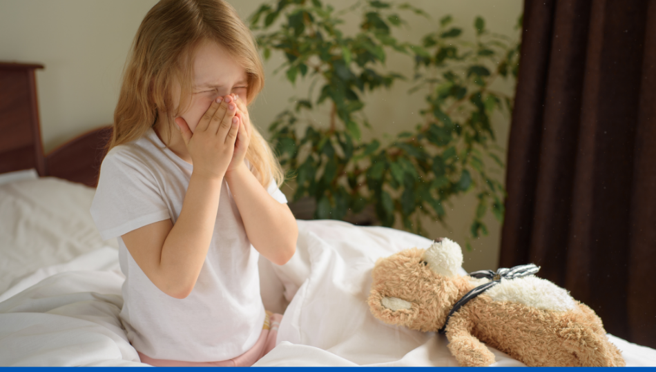 Nettoyeur vapeur pour tuer les acariens et les punaises de lit