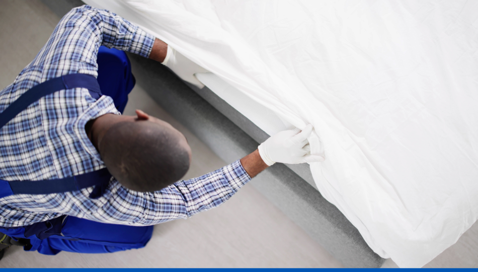 Infestations des punaises de lit : tout savoir sur les mesures préventives pour éviter les infestations de punaises de lit