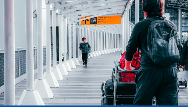 Transport punaises de lit sur l’homme : tout savoir