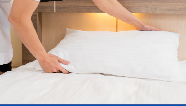 Traitement piqûres de punaises de lit : symptômes et conseils