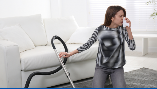 Nettoyeur vapeur pour tuer les acariens et les punaises de lit