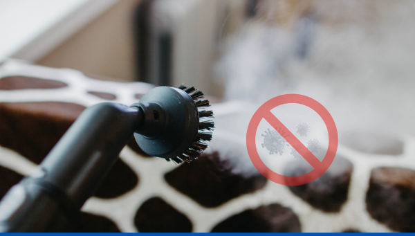Le guide de la désinfection et du nettoyage vapeur