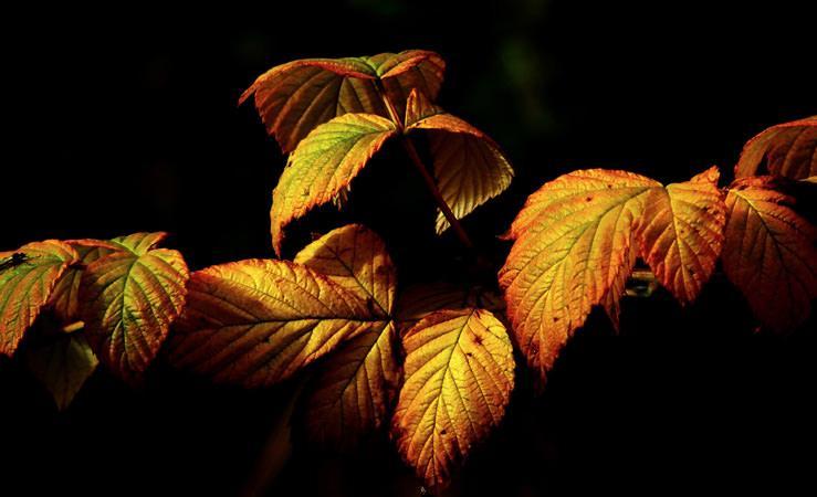 Trucs et astuces contre les allergies saisonnières
