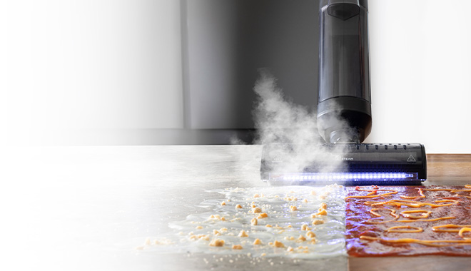 La photo montre Polti Rollysteam