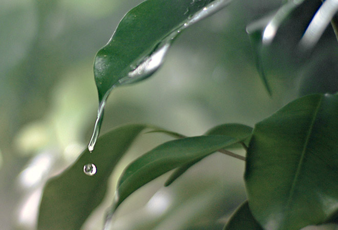 Les valeurs Polti: eau et chaleur