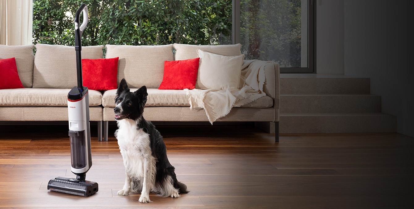 Wet and dry cleaning mop with a dog 