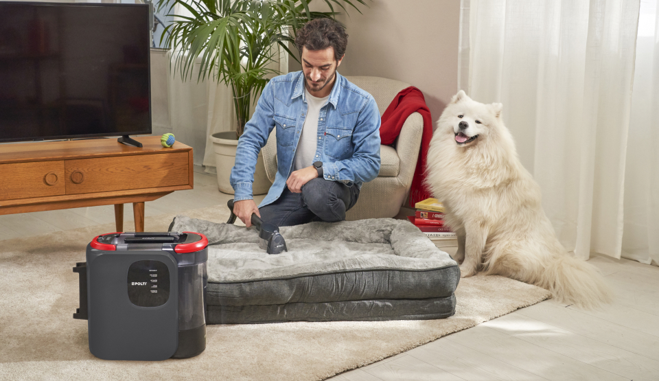 Nettoyage des sols avec un chien