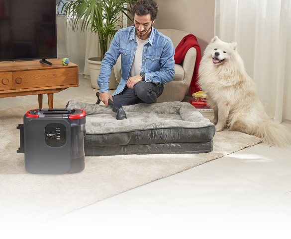 La photo montre le Polti Stainover