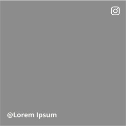 La photo montre le Polti Stainover